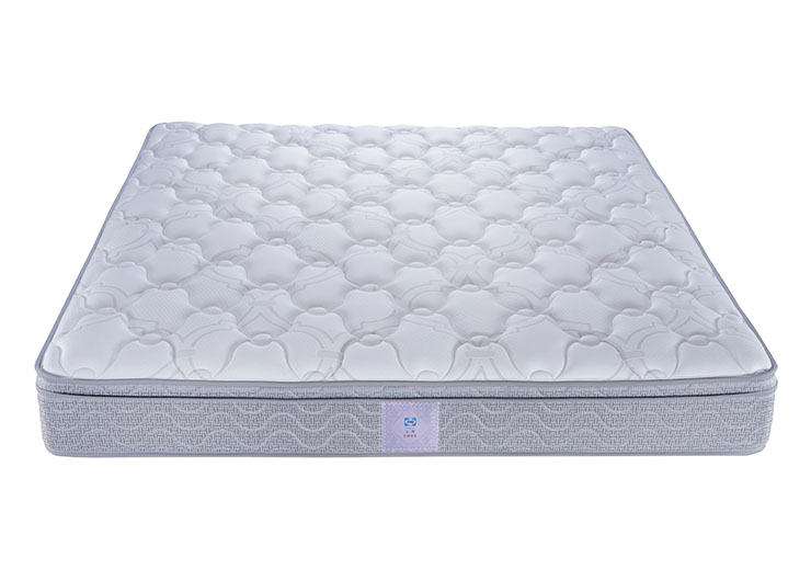 11_0002_esc_2300 拷贝